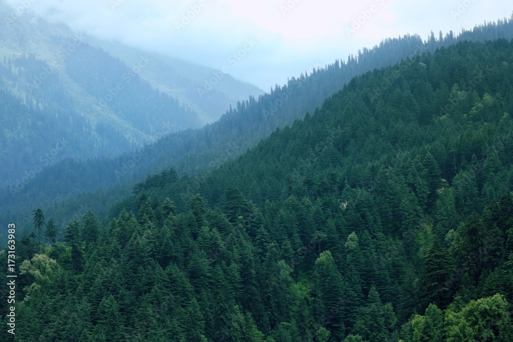 The mountains are calling, and I must answer The mountains are calling, and I must answer