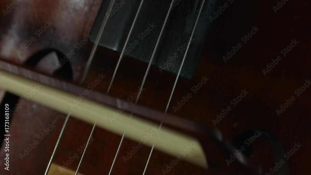 Professional cellist playing her instrument. Professional cellist playing her instrument.