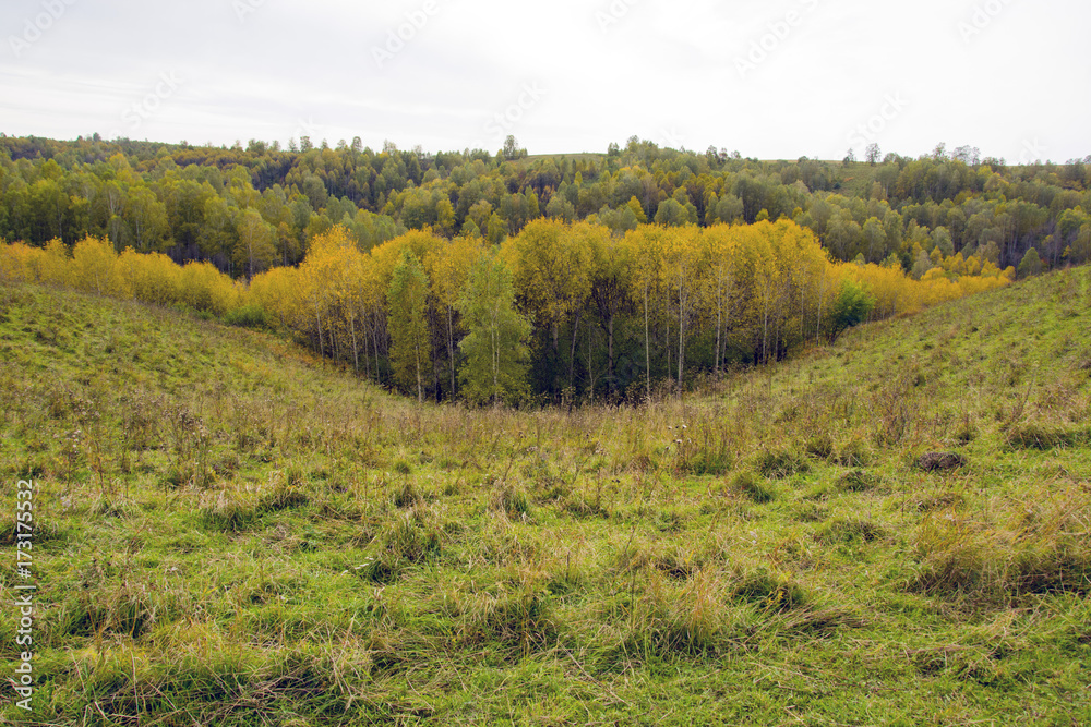 Obraz premium autumn gold, the nature of Russia. Golden September
