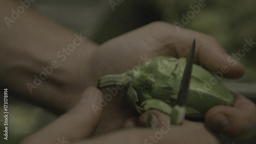 Close up, person cuts off pieces of artichoke