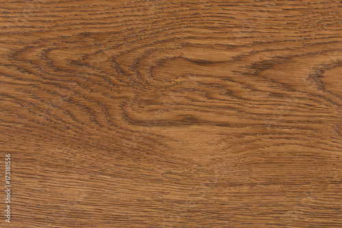 Macro shot of oak texture.