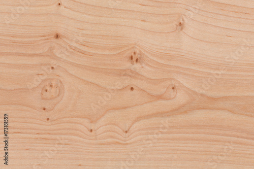 Wooden surface with bright texture. Pine pattern.