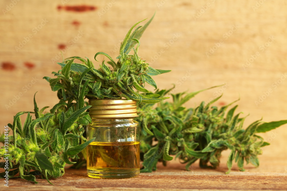 cannabis oil and hemp cannabis oil and hemp