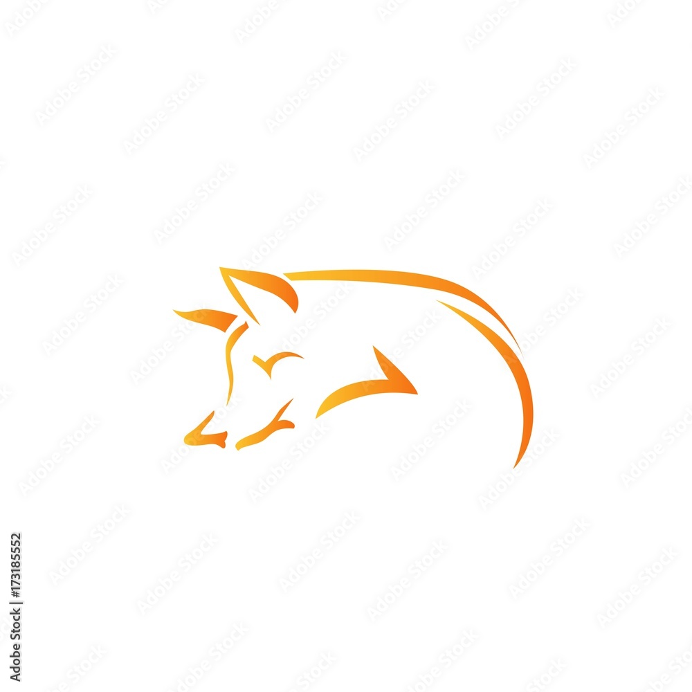 Vector image of an fox on white background