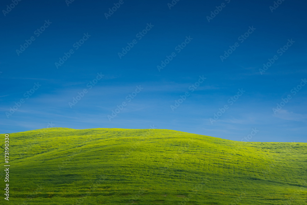 The green field  with clear sky