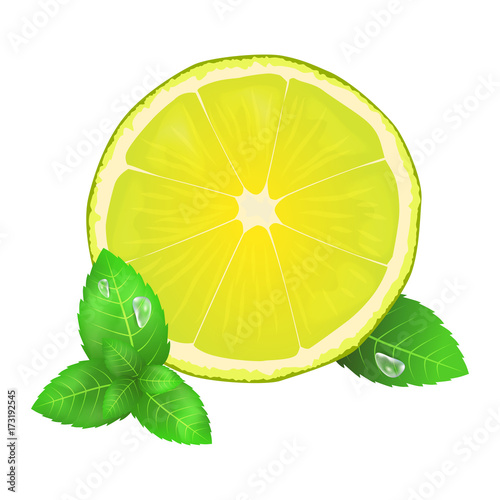 Juicy Lemon or Lime and Leaves of Peppermint Icon