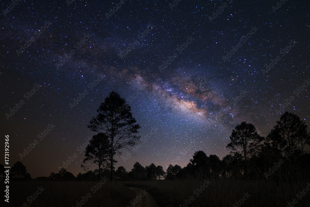 Landscape with milky way galaxy, Night sky with stars and silhouette of ...