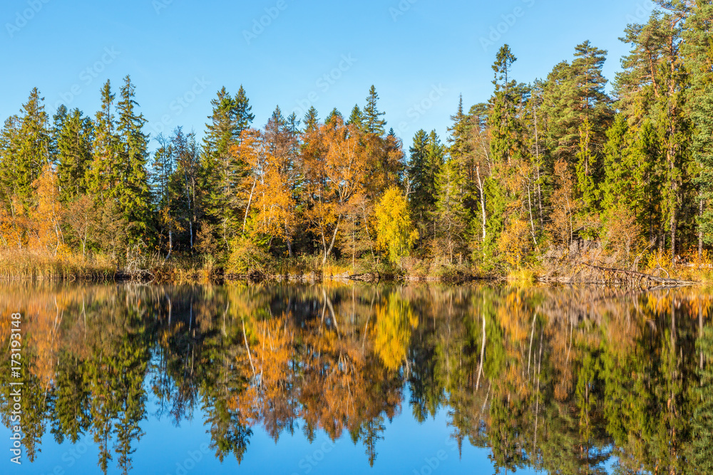 Lake in the forest with water reflections