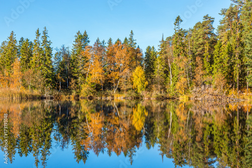 Lake in the forest with water reflections