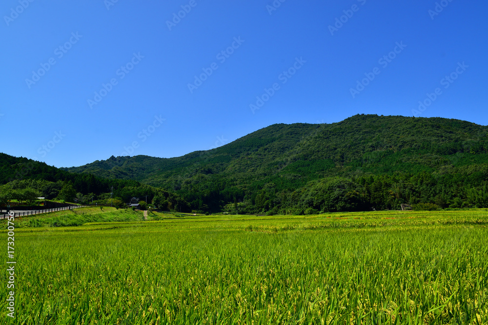 田染荘のひがんばな 田染荘のひがんばな