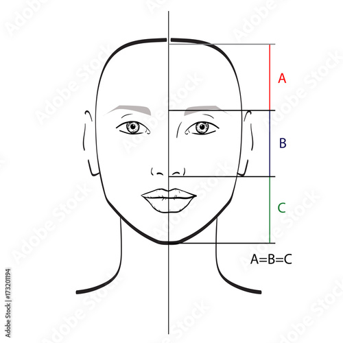 Perfect face proportions. Vector illustration.