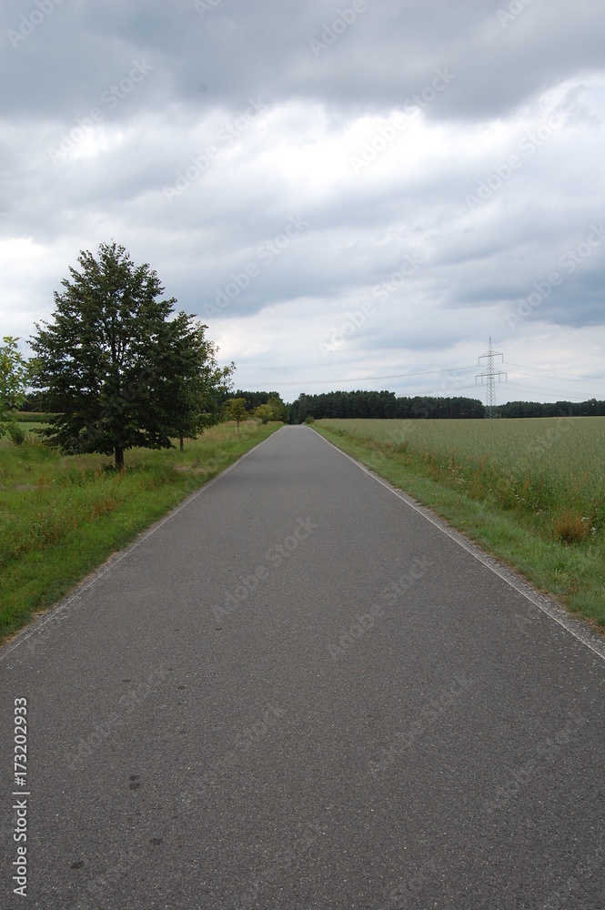 Fototapeta premium Einsame Strasse zwischen Wald und Feld