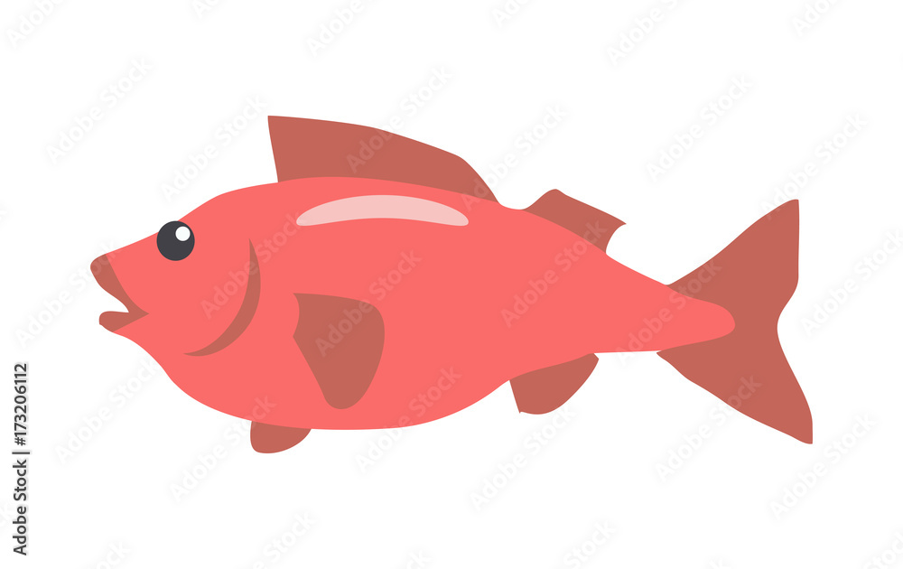 Red Fish Cartoon Flat Vector Illustration Red Fish Cartoon Flat Vector Illustration