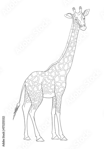 Coloring book with giraffe.
