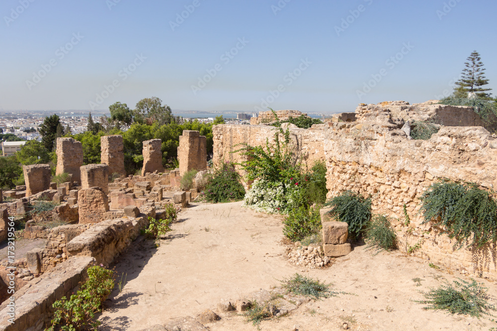 ruins on the background of the city of Carthage