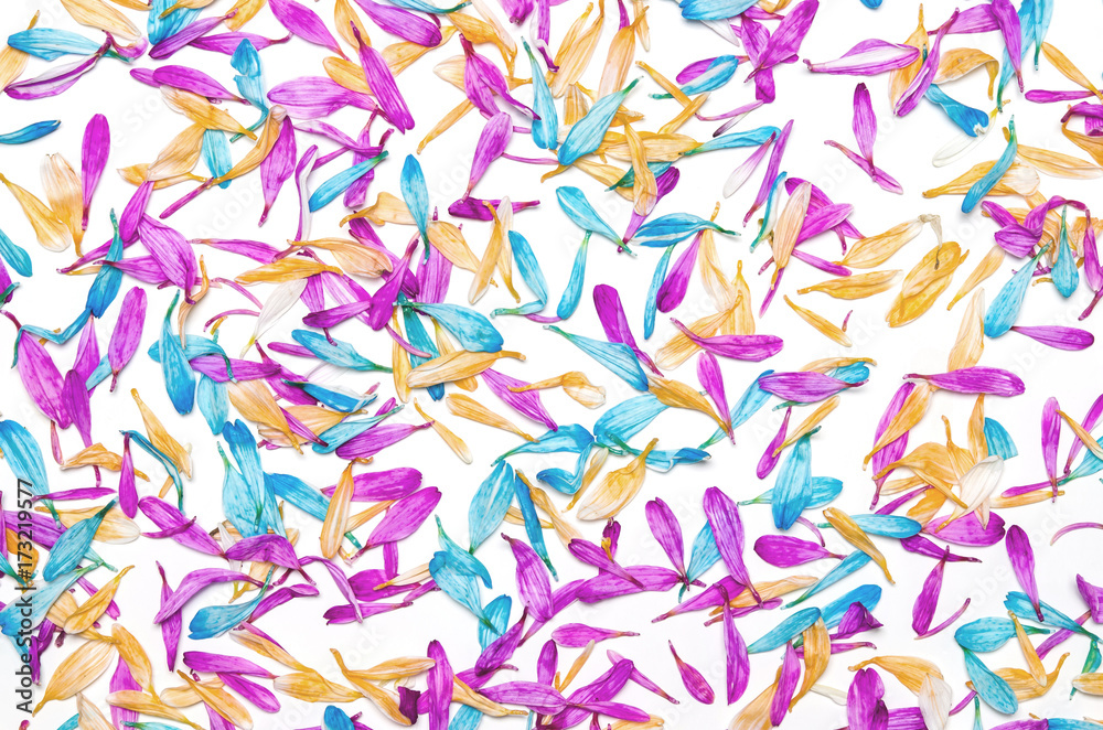 Colorful flowers pattern on white background. Festive greeting card.