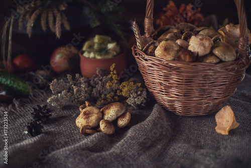 Still life from autumn natu...