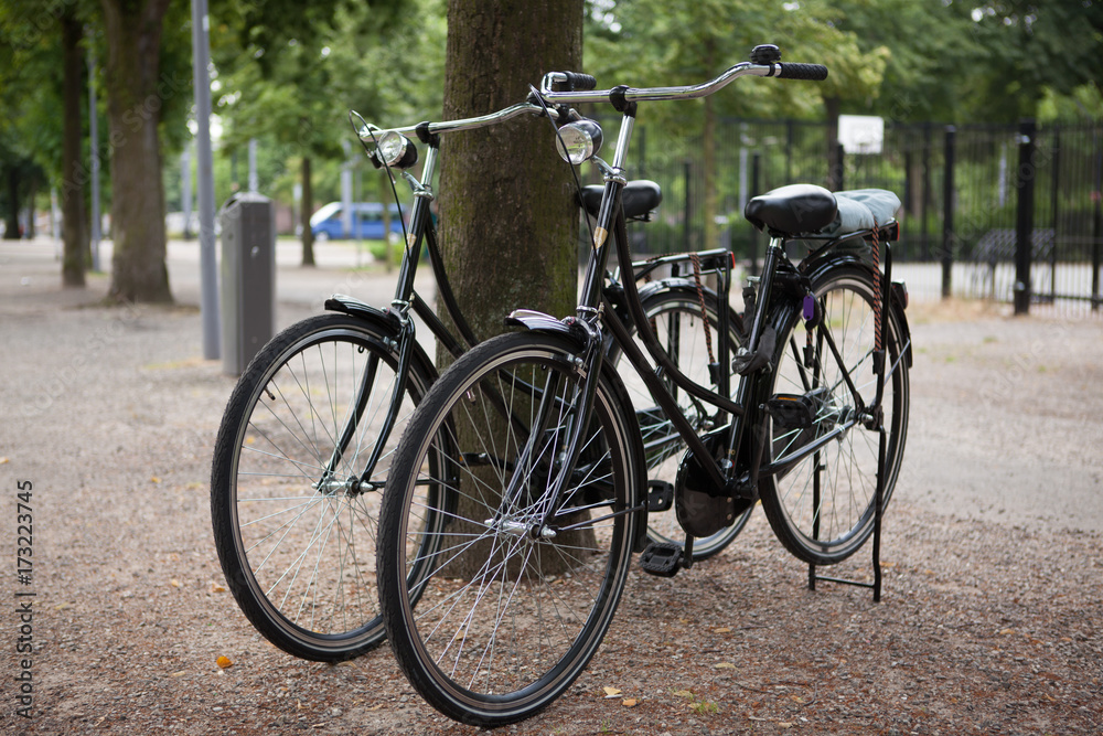 Two city bikes near the tree in the park