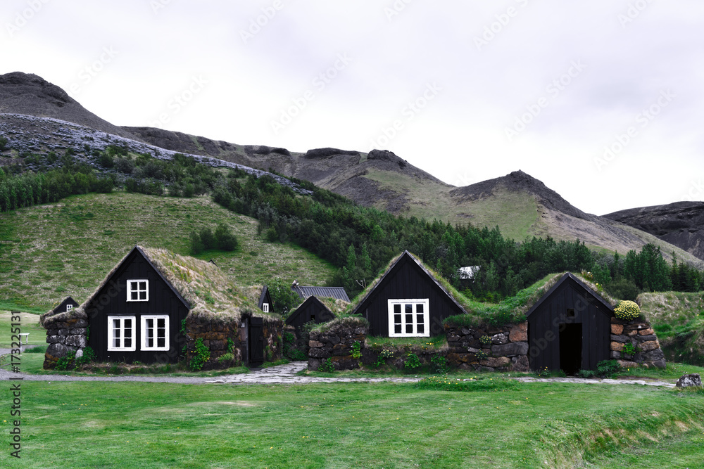 Fototapeta premium Traditional icelandic houses with grass