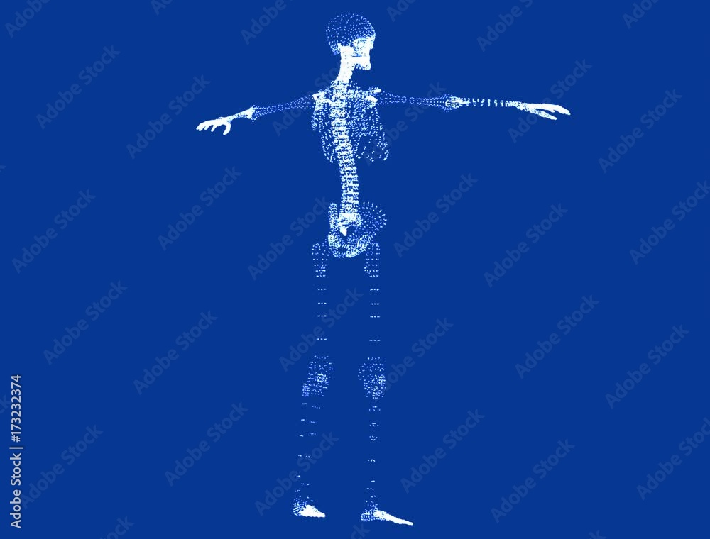 Scheletro visto a 360 gradi, 3 dimensioni. Rotazione di un corpo scheletrico. Olografia