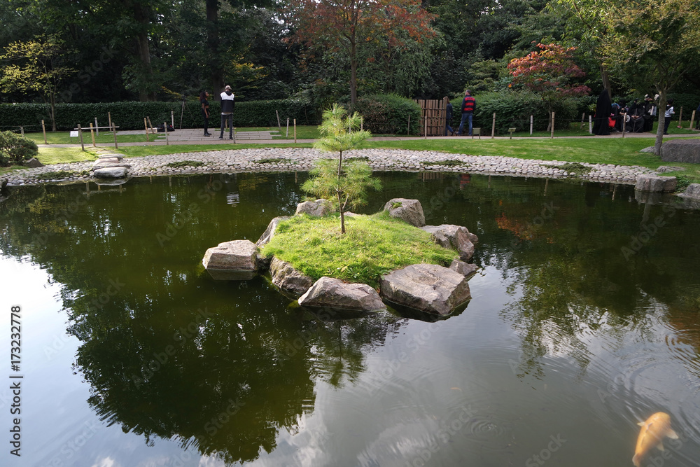 Fototapeta beautiful zen garden