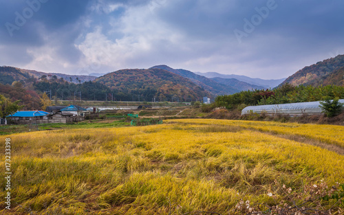 autumn landscape, korea.