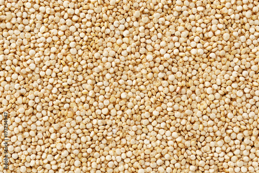 Quinoa seeds closeup Quinoa seeds closeup