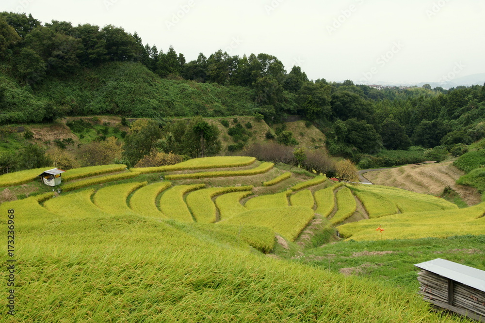 日本の棚田 日本の棚田