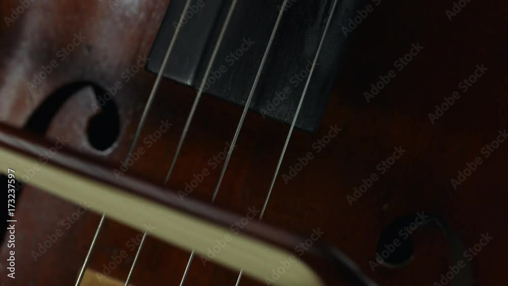 Professional cellist playing her instrument. Professional cellist playing her instrument.