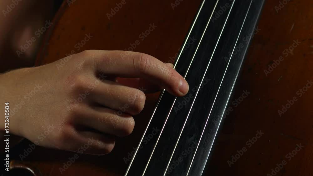 Professional cellist playing her instrument. Professional cellist playing her instrument.