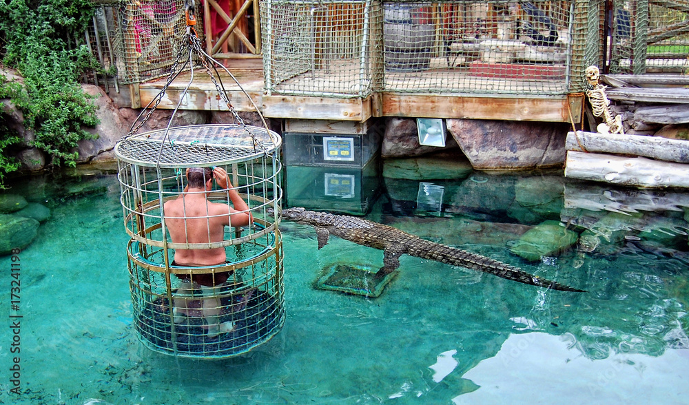 Fototapeta premium Adrenalina. Mężczyzna w basenie z krokodylami. Mężczyzna stoi w klatce z dużymi dziurami i zanurza się w wodzie z krokodylami. Oszałamiająca afrykańska przygoda. Pokaż Gator.