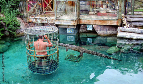 Adrenaline. Man in a pool with crocodiles. Man stands inside of a cage with large holes & plunges into water with crocodiles. Stunning African adventure. Gator show. 