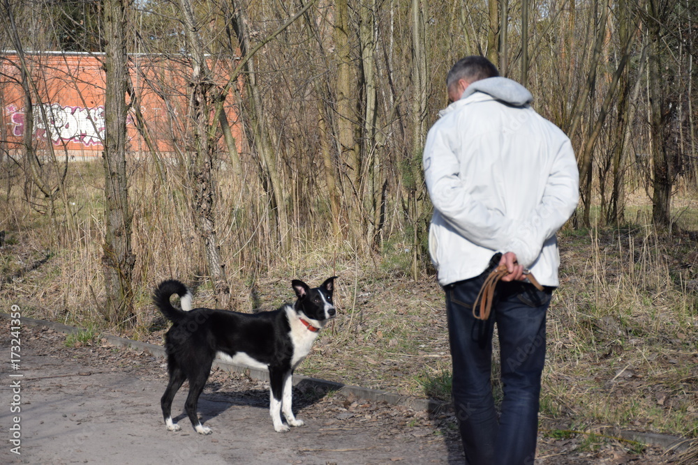 мужчина на прогулке с собакой