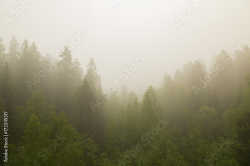 Morning mist over valley