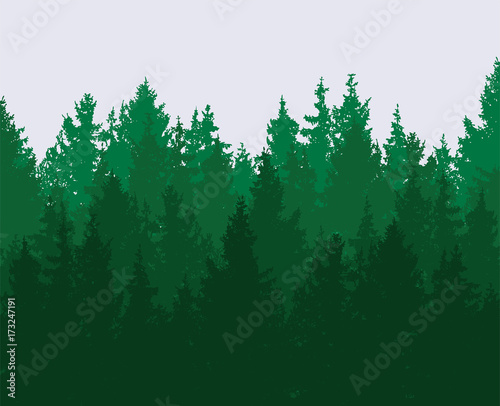 vector forest background. green spring woods, nature landscape