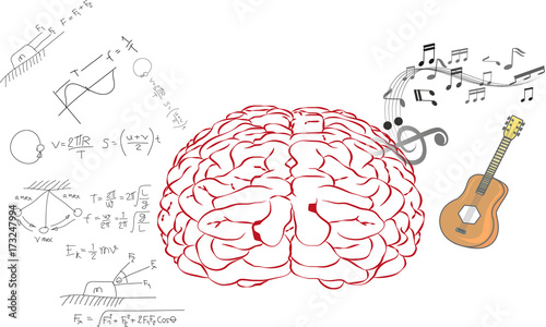 Creative brain Idea. Vector concept. Left and right brain functions,Human brain concept