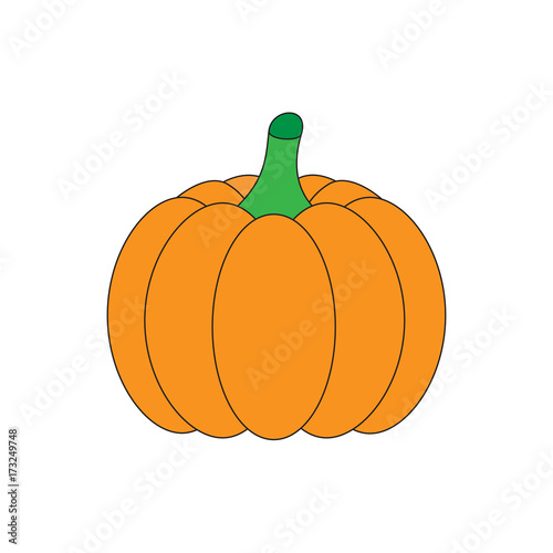 Orange halloween pumpkin, vector illustration. Pumpkin vegetable isolated on white background. Graphic print or icon.