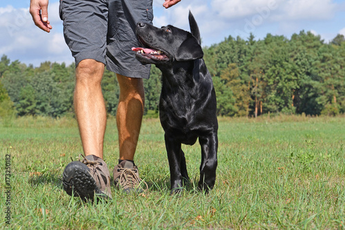 Man walk with dog in the park at sunny day. photo