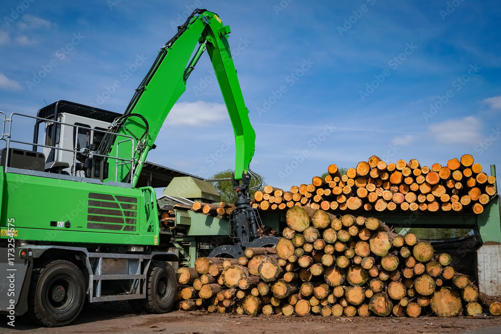 Obraz premium Forstwirtschaft, Beschickung einer Maschine mit Rundhölzern