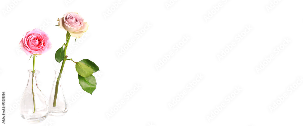 Obraz premium Two roses in a glass vase isolated on a white background