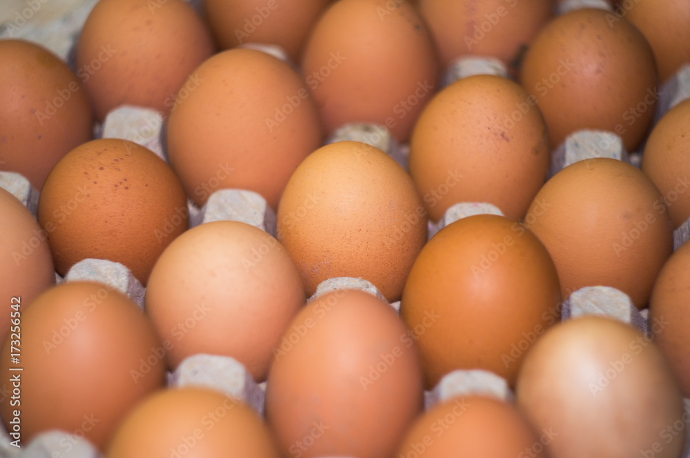 eggs background Close-up Top view Chicken eggs eggs background Close-up Top view Chicken eggs