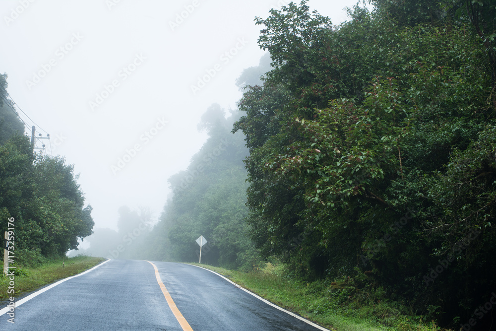 Foggy road on mystery land