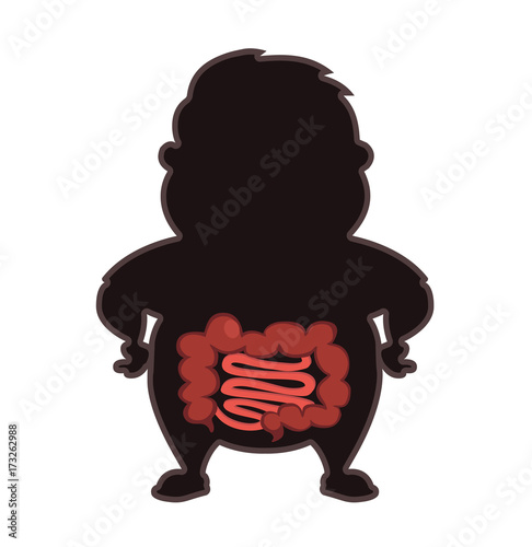 Vászonkép The human anatomy, the organs