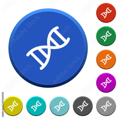 DNA molecule beveled buttons