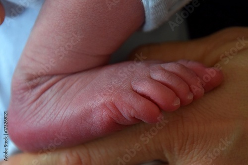 kleines Füsschen von einem neugeborenen Baby in der Hand der Mutter photo