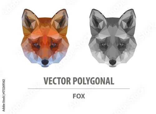 Vector polygonal fox head. Low poly predator illustration. Triangle simple color image.