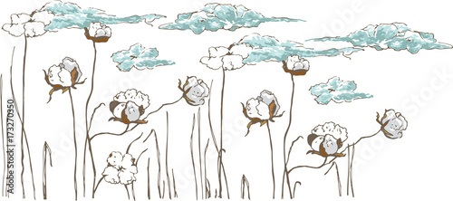 

Gossypium, cotton flowers turn into light clouds
