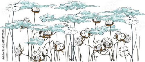 

Gossypium, cotton flowers turn into light clouds
