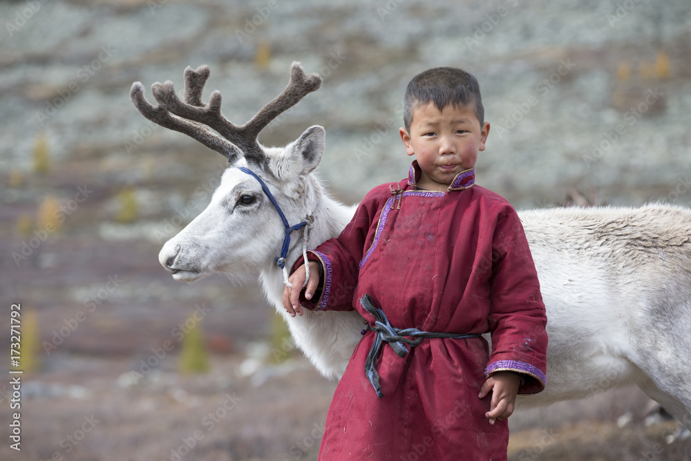 Naklejka premium tsaatan boy, dressed in a traditional deel with a reindeer in a northern Mongolia
