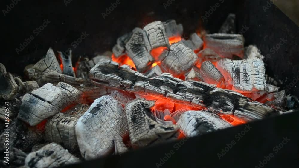 Grill on nature: charcoals in brazier Grill on nature: charcoals in brazier